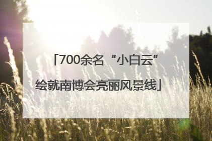 700余名“小白云”绘就南博会亮丽风景线