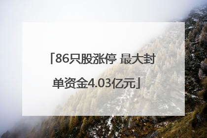 86只股涨停 最大封单资金4.03亿元