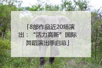 8部作品近20场演出：“活力高新”国际舞蹈演出季启幕