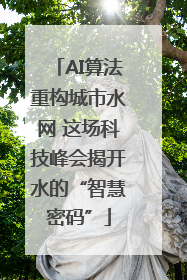 AI算法重构城市水网 这场科技峰会揭开水的“智慧密码”