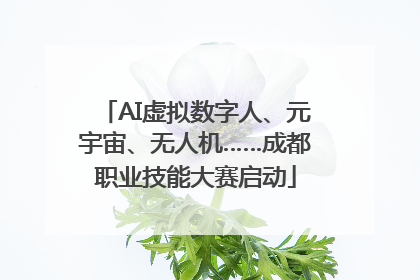 AI虚拟数字人、元宇宙、无人机……成都职业技能大赛启动