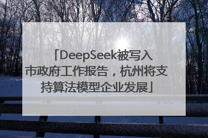 DeepSeek被写入市政府工作报告，杭州将支持算法模型企业发展