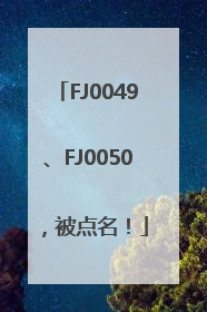 FJ0049、FJ0050，被点名！