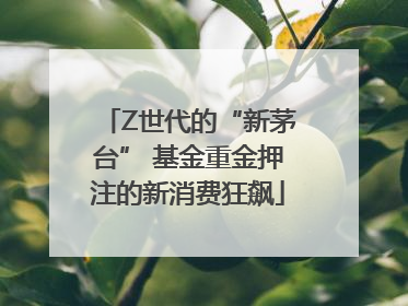 Z世代的“新茅台” 基金重金押注的新消费狂飙